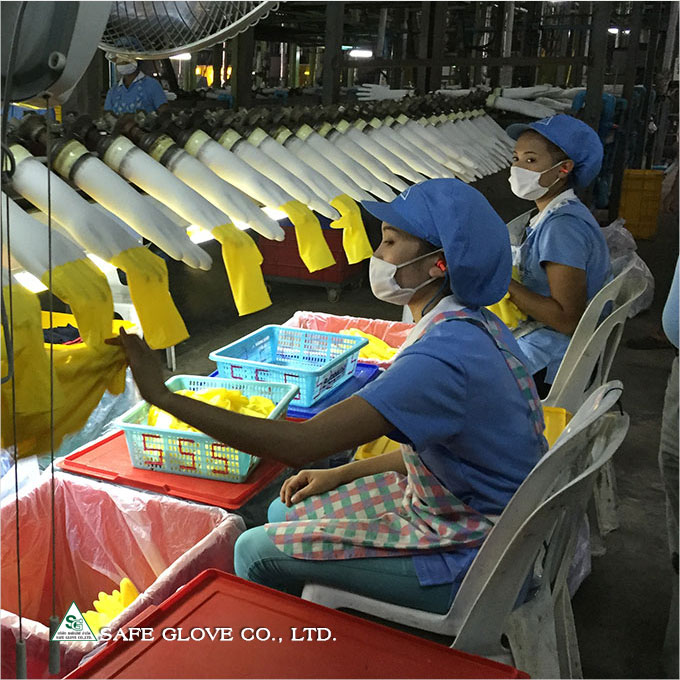 Latex Examination Gloves and Nitrile Disposable Gloves - Production Line